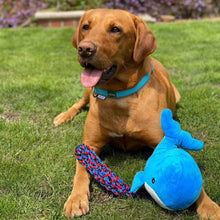 Made From Recycled Material Soft Dog Toy - Oshi the Whale