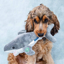 Made From Recycled Material Soft Dog Toy - Shark