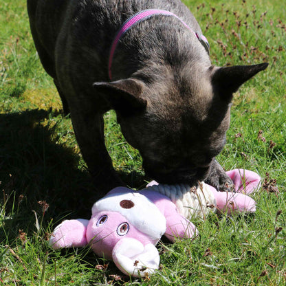Made From Recycled Material Soft Dog Toy - Rope Bellies