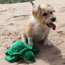 Made From Recycled Material Soft Dog Toy - Turtle