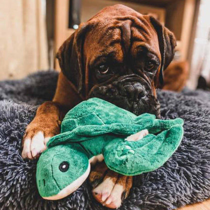 Made From Recycled Material Soft Dog Toy - Turtle