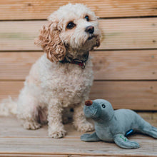 Made From Recycled Material Soft Dog Toy - Seal