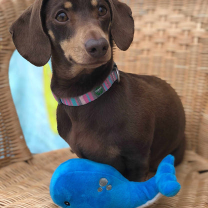 Made From Recycled Material Soft Dog Toy - Mini Shark, Octopus & Oshi