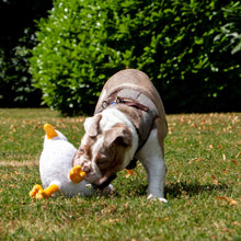 Made From Recycled Material Soft Dog Toy - Seagull