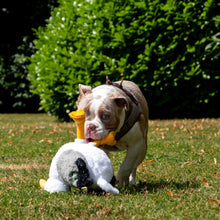 Made From Recycled Material Soft Dog Toy - Seagull