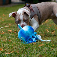 Made From Recycled Material Soft Dog Toy - Jelly Fish