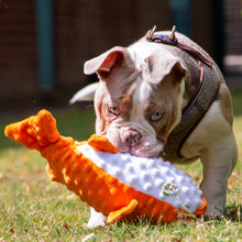 Made From Recycled Material Soft Dog Toy - Puffer Fish