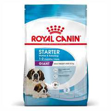 Royal Canin Size Health Nutrition Giant Starter Mother & Babydog Puppy Dry Dog Food