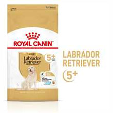 Royal Canin Breed Health Nutrition Labrador Retriever Adult 5+ Dry Dog Food