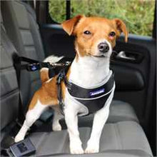Ancol Travel and Exercise Harness - Small 37-58cm