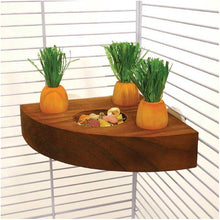 Rosewood Carrot Toy n Treat Holder