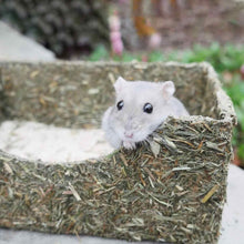Rosewood Naturals Rollin Rodent Sand Bath
