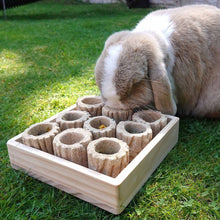 Rosewood Hide n Treat Forage Tray