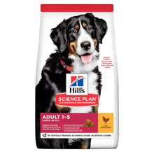 Hills Science Plan Large Breed Adult Dry Dog Food - Chicken