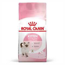 Royal Canin Feline Health Nutrition Kitten Dry Cat Food