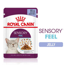 Royal Canin Feline Health Nutrition Sensory Feel in Jelly Wet Cat Food - 12x85g Pouches