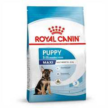 Royal Canin Size Health Nutrition Maxi Dry Puppy Food
