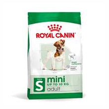 Royal Canin Size Health Nutrition Mini Adult Dry Dog Food