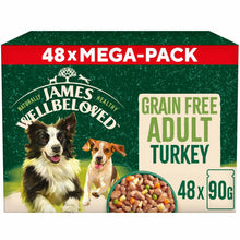 James Wellbeloved Adult Wet Dog Food in Gravy - Turkey & Rice - 48x90g Pouches