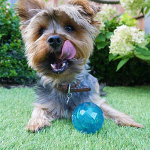 Rosewood Biosafe Puppy Treat Dispensing Toy - Blue - Ball