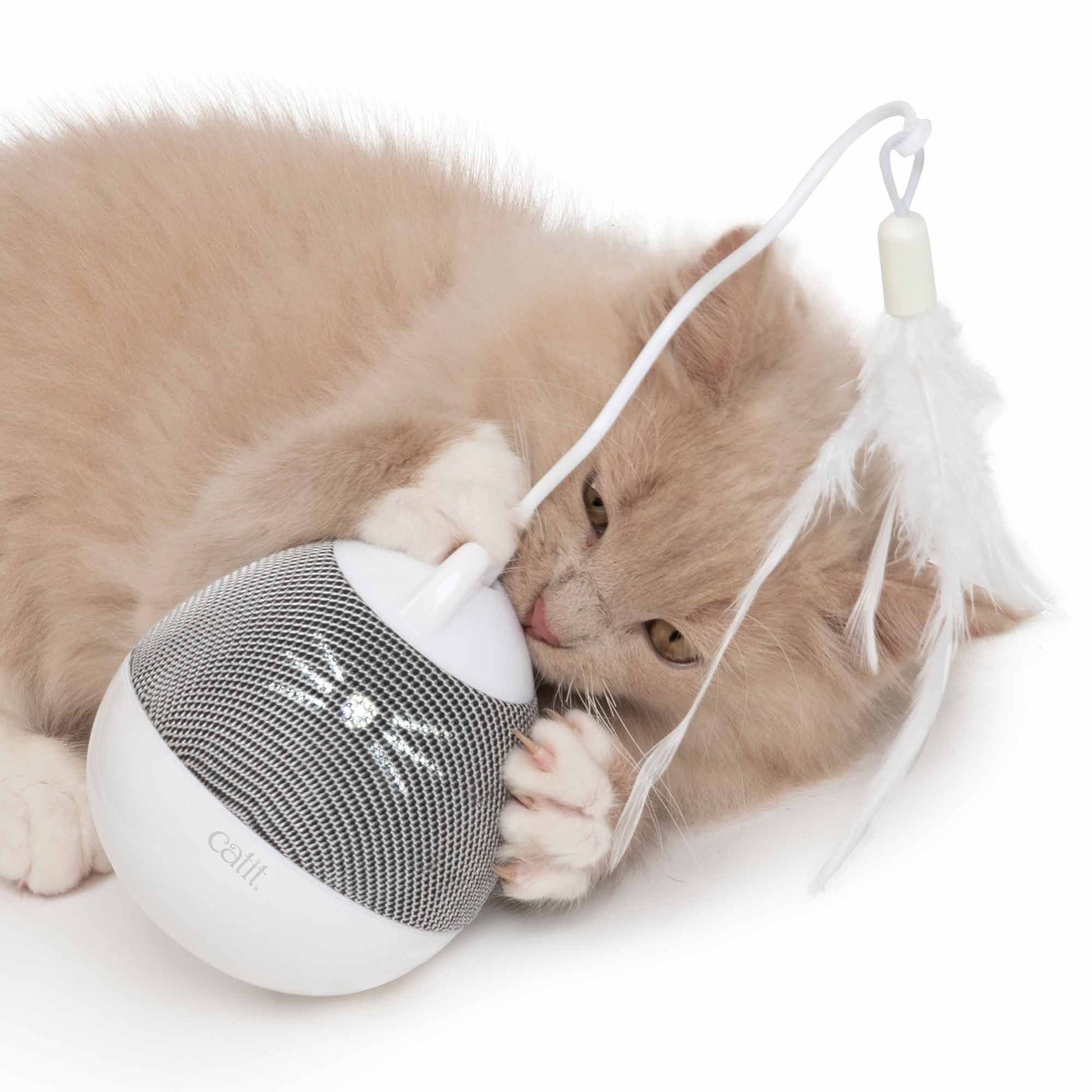 Catit Pixi Spinner Electronic Cat Toy White Grey – Petplanet