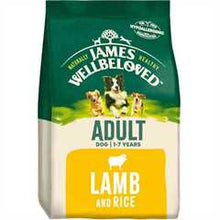 James Wellbeloved Adult Dry Dog Food - Lamb & Rice