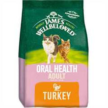 James Wellbeloved Oral Health Adult Dry Cat Food - Turkey