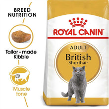 Royal Canin Breed Health Nutrition British Shorthair Dry Adult Cat Food