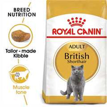 ROYAL CANIN British Shorthair Dry Adult Cat Food