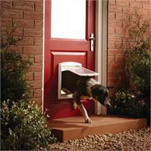 Petsafe Staywell Original 2 Way Pet Door Medium