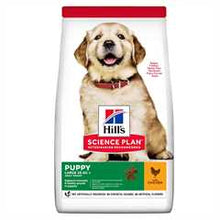 Hills Science Plan Large Breed Puppy Dry Dog Food - Chicken