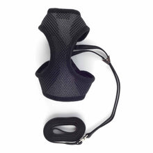 Ancol Soft Cat Harness & Lead - Medium - Black
