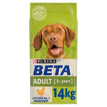 Beta Adult Dry Dog Food - Chicken