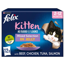 Felix As Good As It Looks Kitten Wet Cat Food in Jelly - Mixed Selection - 12x100g Pouches