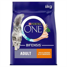 Purina ONE Adult Dry Cat Food - Chicken & Wholegrains