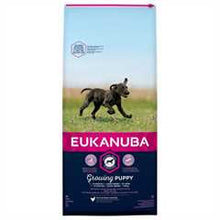 Eukanuba Large Breed Puppy Food - Chicken