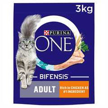 Purina ONE Adult Dry Cat Food - Wholegrains - Salmon