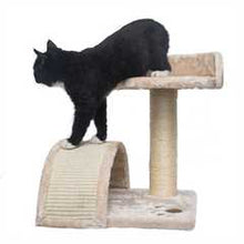 Purrshire Kitten Activity Centre