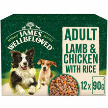 James Wellbeloved Adult Wet Dog Food in Gravy - Lamb, Chicken & Rice - 12x90g Pouches