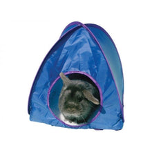 Rosewood Pop-Up Tent - Large