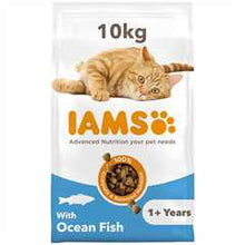 IAMS Adult Dry Cat Food - Ocean Fish