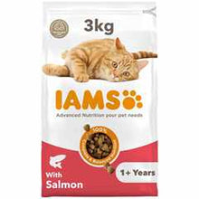 IAMS Adult Dry Cat Food - Salmon