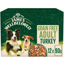James Wellbeloved Grain Free Adult  Wet Dog Food in Gravy - Turkey - 12x90g Pouches