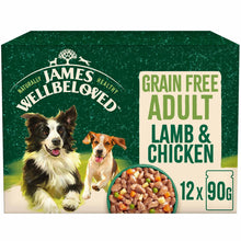 James Wellbeloved Grain Free Adult Wet Dog Food in Gravy - Lamb & Chicken - 12x90g Pouches