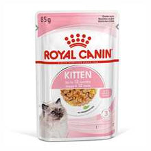 ROYAL CANIN Feline Health Nutrition Kitten Wet Cat Food in Jelly - BULKPACK - 48x85g Pouches