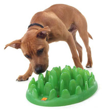 Green Slow Dog Feeder