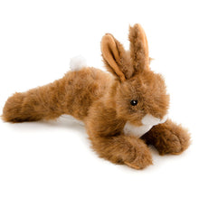 Ancol Hare Like Dog Toy