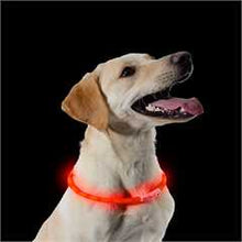 Ancol USB Rechargeable Flashing Dog Collar - Orange - Adjustable up to 70cm