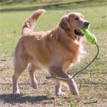 KONG Air Fetch Stick - Large