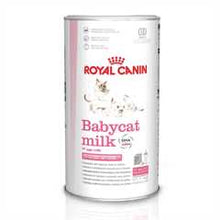 Royal Canin Babycat Milk Kitten Food - 300g